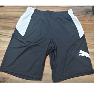 Puma Shorts Dry Cell Men's BRAND NEW